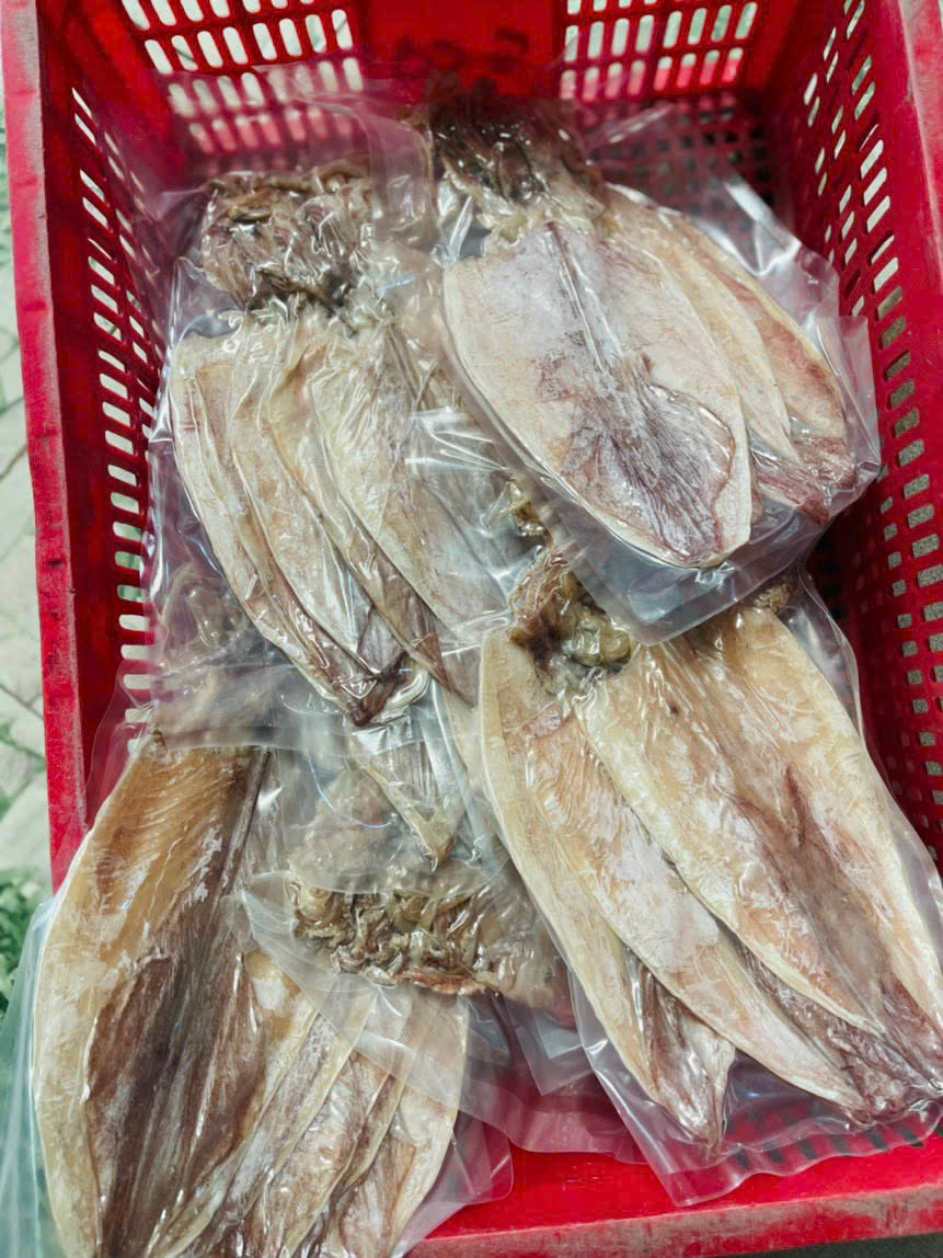 Khô mực