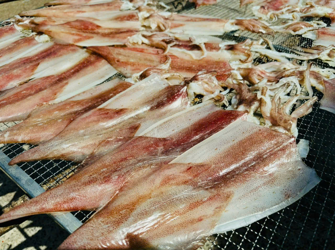 Mực Một Nắng