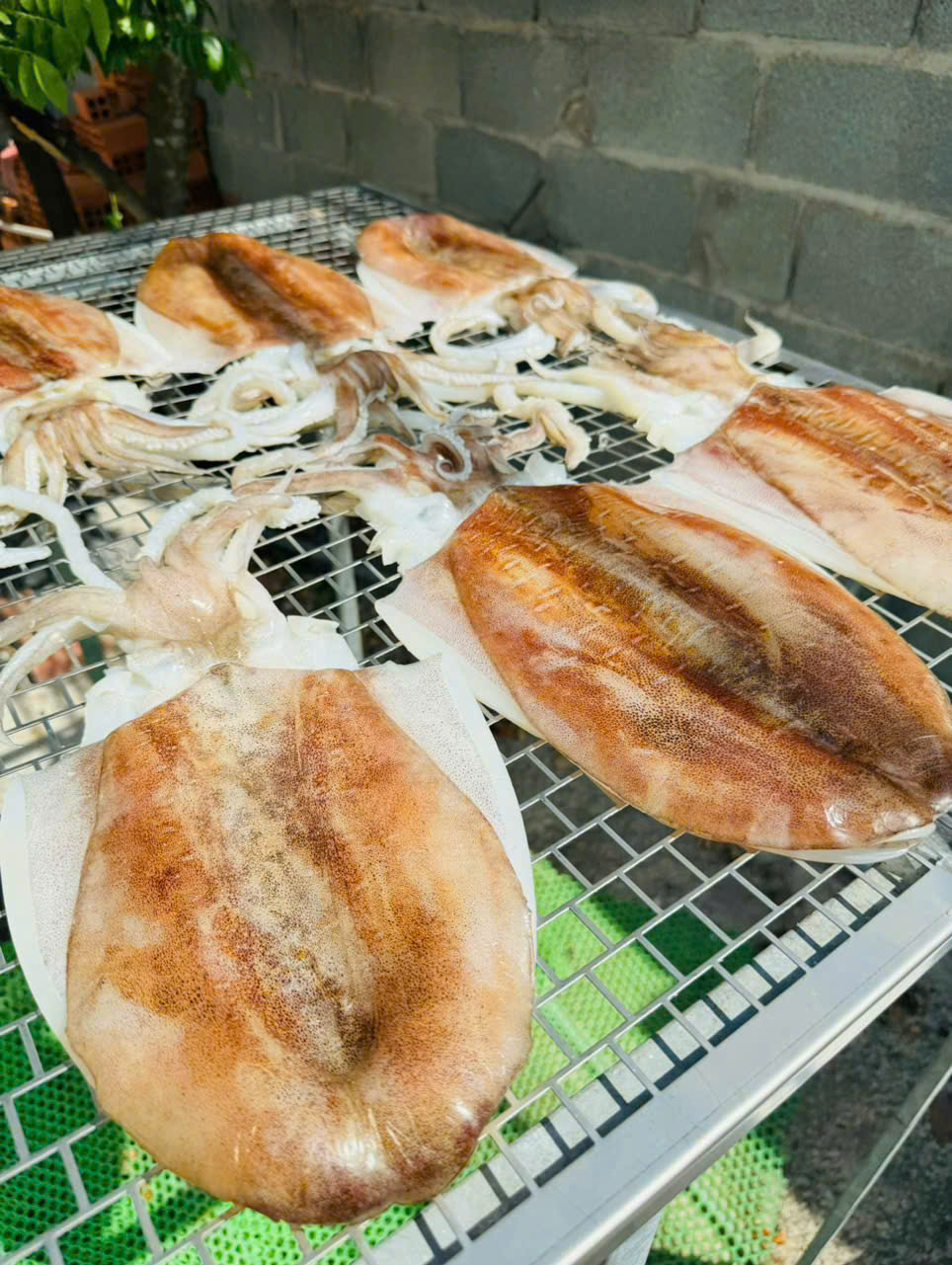 Mực Một Nắng