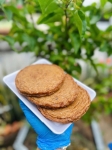 Chả cá