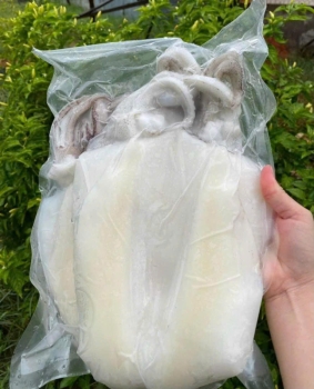 Mực Một Nắng