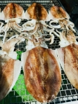Mực Một Nắng