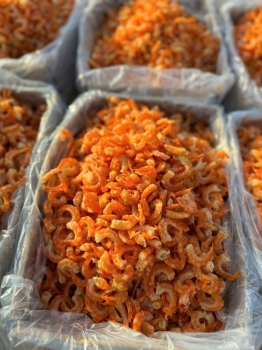 Tôm noãn phơi khô