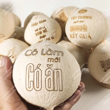 Dừa tươi - Sản phẩm đặc trưng của xứ nhiệt đới