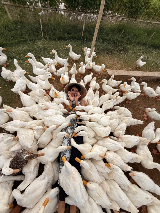 Trải nghiệm Duck Stop Hội An